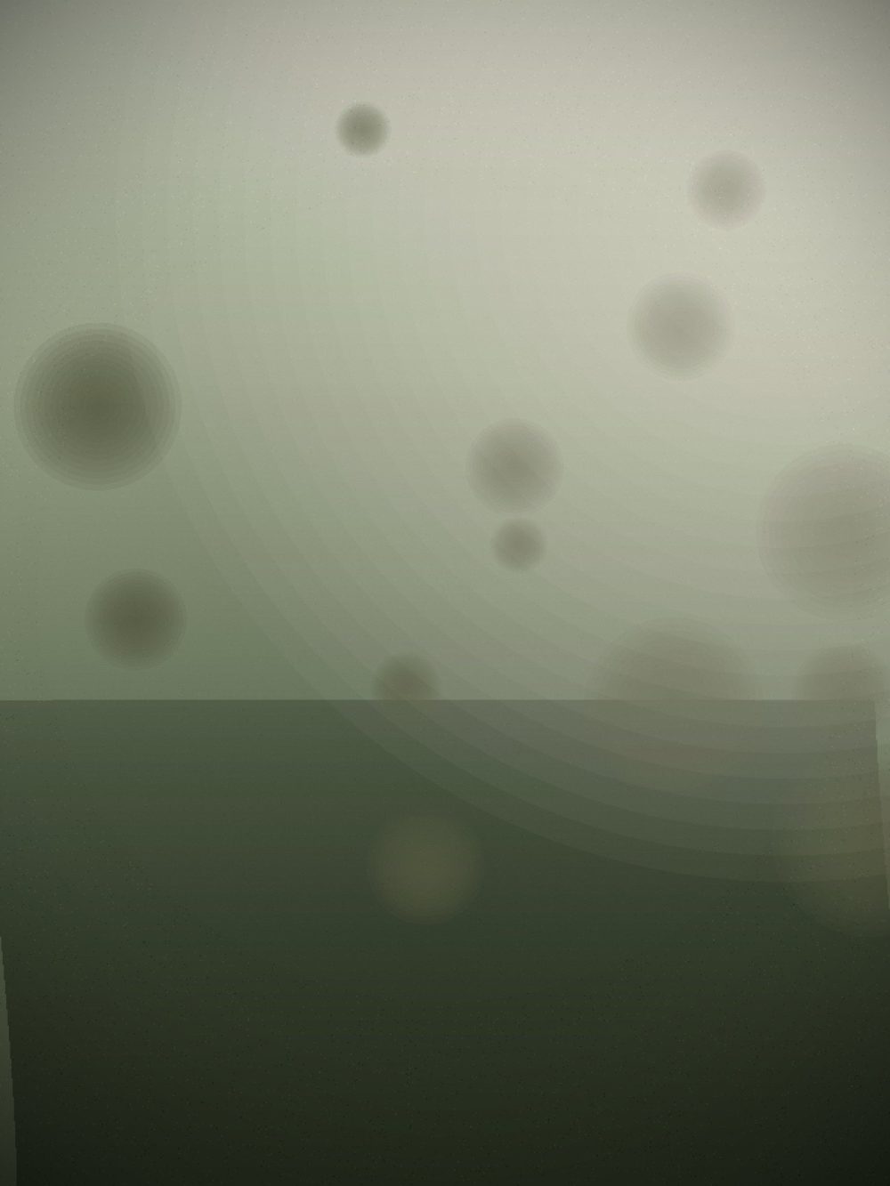 Aster & Rowan — frame 01