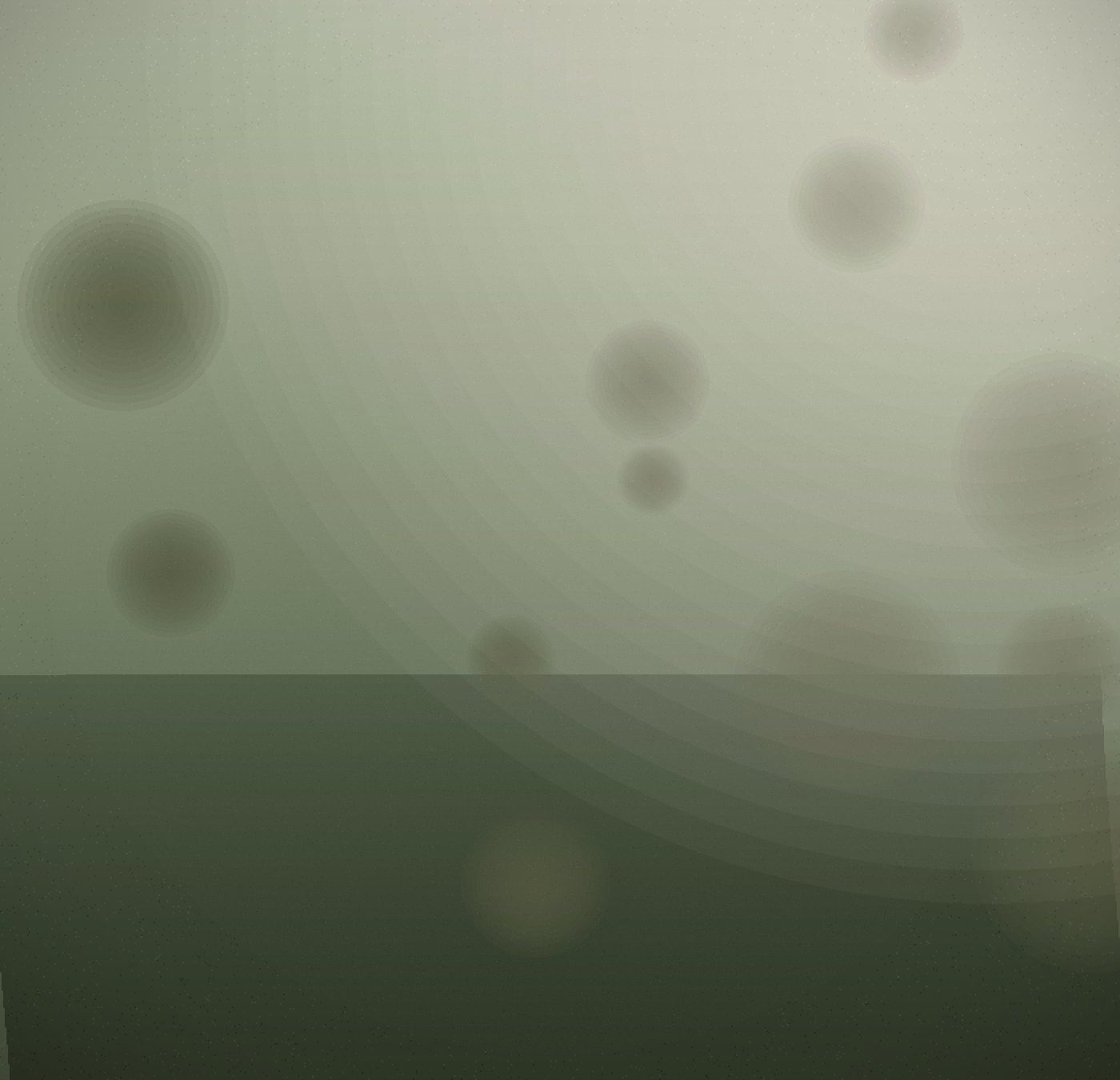 Aster & Rowan — frame 01