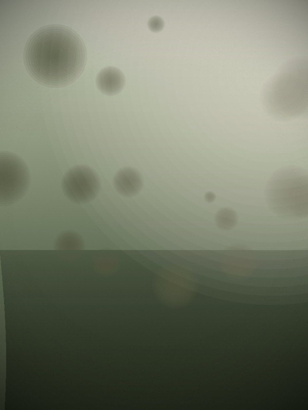 Aster & Rowan — frame 02