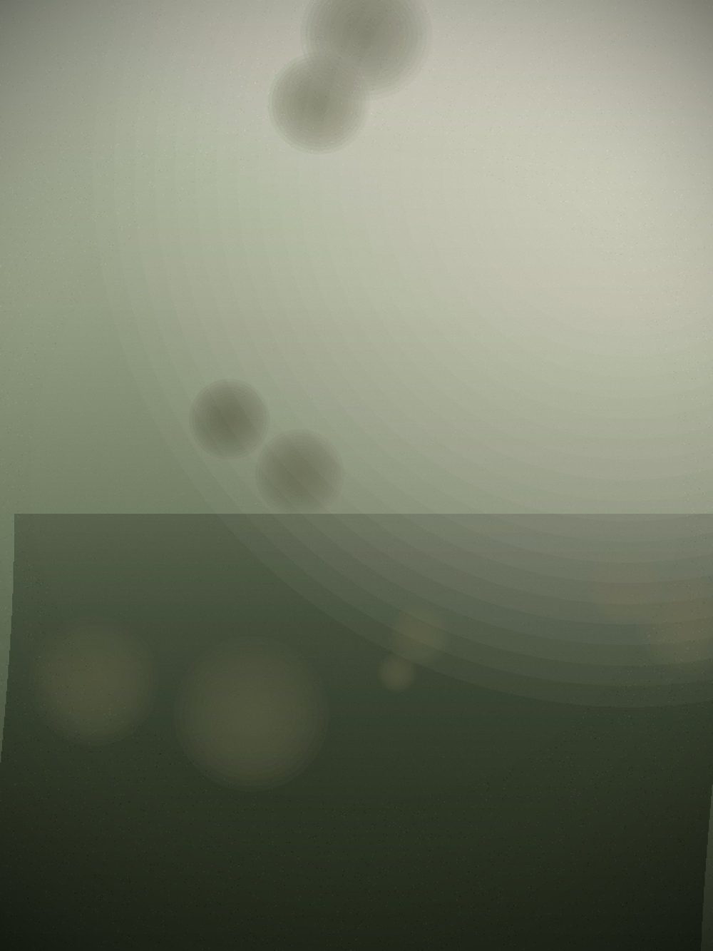 Aster & Rowan — frame 04
