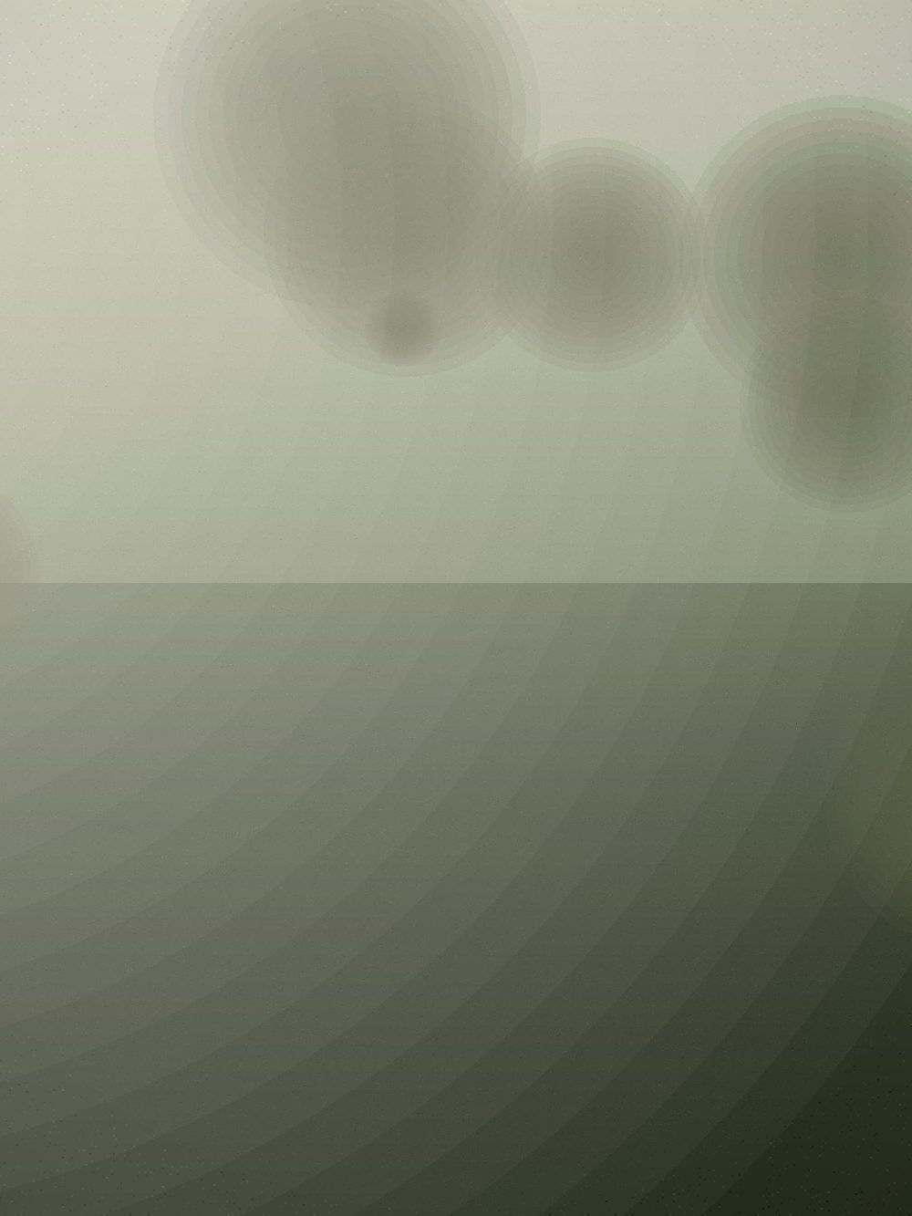 Aster & Rowan — frame 06