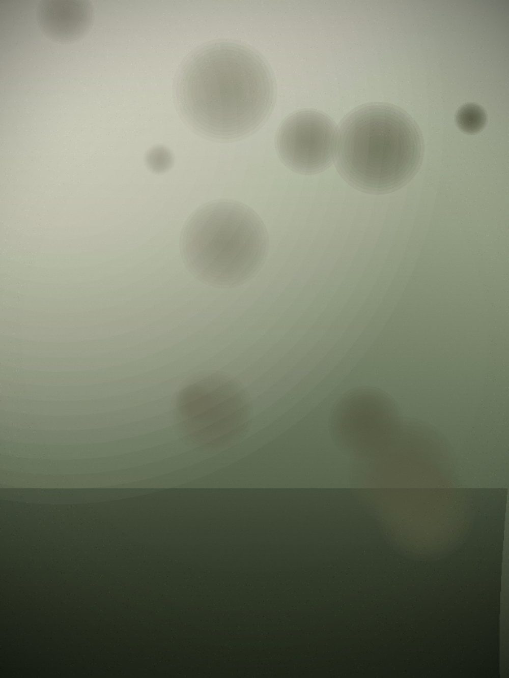 Aster & Rowan — frame 11