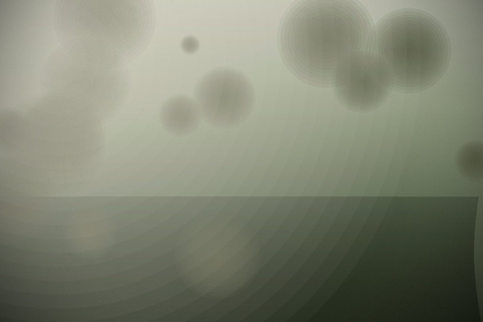 Aster & Rowan — frame 12